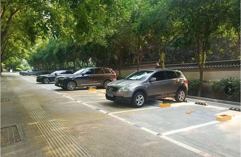parking flap lock